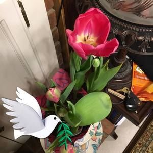 Meet your Posher, Sue